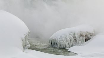 Los centros de acogida de