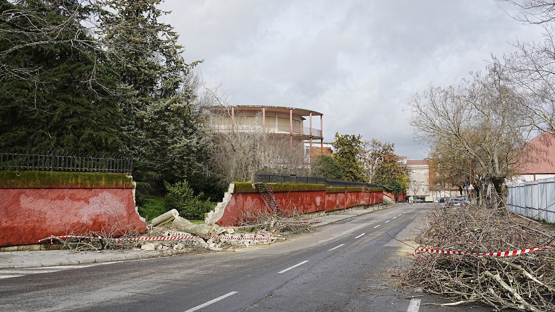 Un árbol caído como consecuencia del viento derrumba un muro en Cáceres, Extremadura (Carlos Criado / Europa Press)