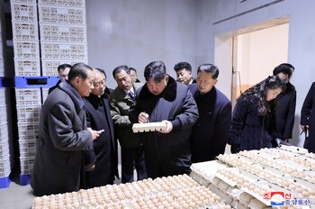 Kim inspecciona la granja de