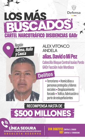 Alias Mi Pez estaba implicado en delitos de terrorismo, homicidio de líderes sociales y desplazamiento forzado en Tolima, Huila y Cauca - crédito Ministerio de Defensa Colombia