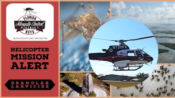 Liberaron en Florida un ejército