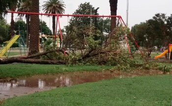 La caída de granizo provocó daños en Alcira Gigena