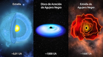 Tres ilustraciones separadas de una estrella cortada, un disco de acreción con un agujero negro central y una estrella de agujero negro, con sus nombres y tamaños.