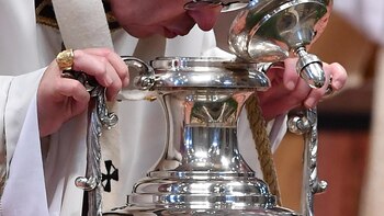 El papa celebrará todos los