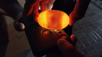 Aseguraron 110 huevos de cocodrilo