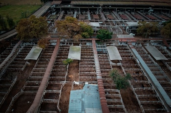 El Mercado de Hacienda de