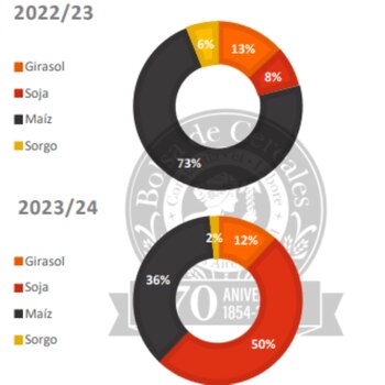 Los gráficos indican la fracción de cultivos que usan como antecesores de servicio dentro de la superficie sembrada con cultivos de cobertura, en la campaña 2022/23 y 2023/24, respectivamente (BCBA)