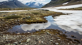 Primer plano de rocas y vegetación musgosa en tierra húmeda, con charcos de agua y parches de nieve/hielo derritiéndose. Montañas y cielo nublado al fondo.