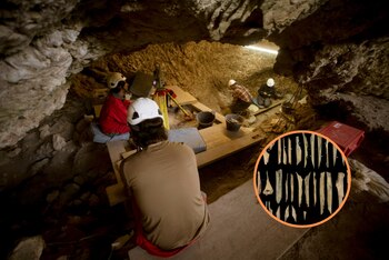 Científicos españoles hacen un nuevo