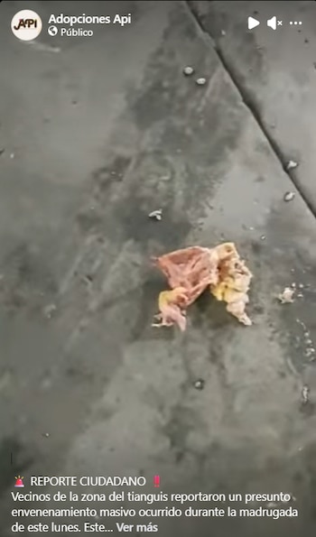 Imagen HVVPUBFVPVEJXE3DV44T6363V4