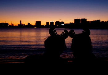Parejas japonesas celebran navidad como