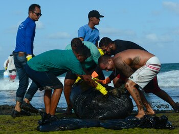 Más de 200 playas están