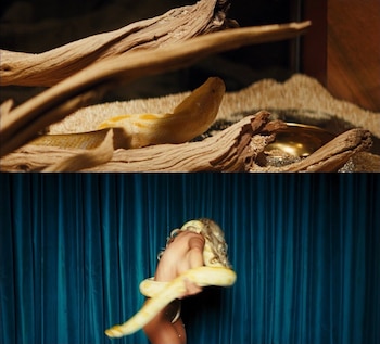 Euphoria Temporada 3 episodio 6