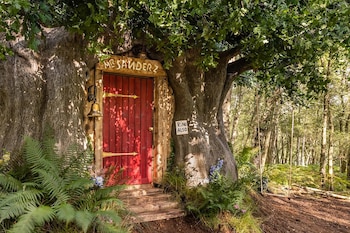 airbnb casa de winnie the pooh