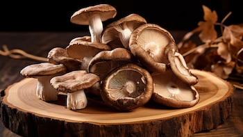 Cómo cultivar setas shiitake en casa: el truco de la madera para lograr el auténtico sabor japonés