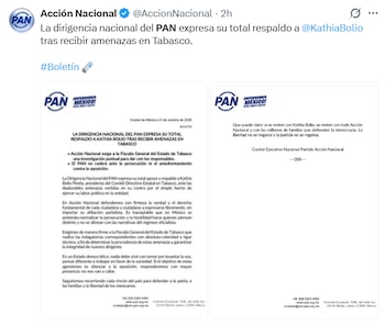 Captura de pantalla de una publicación en redes sociales con un boletín oficial impreso en dos páginas del Partido Acción Nacional
