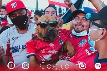 El canino siempre acompañó a