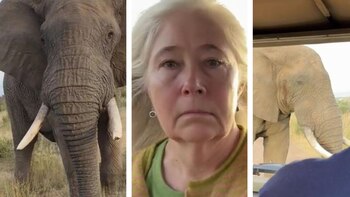 El tenso momento se desencadenó