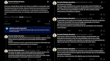 La senadora Berenice Bedoya negó