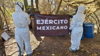 Decomiso de precursores químicos en