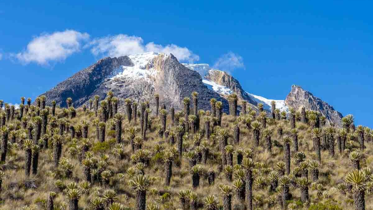 Las autoridades solicitan a los locales estar atentos - crédito Viaja por Libre