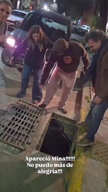 Denise Dumas recuperó a su gata capturas