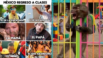 Los mejores memes que divierten en redes tras el inicio del ciclo escolar 2026-2027: “Feliz regreso a clases”