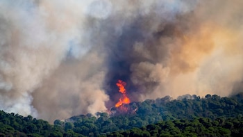 Las imágenes del incendio de Les Gavarres (Girona): una gran columna de humo y miles de personas confinadas por el fuego