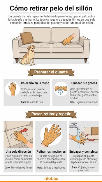 Infografía con ilustraciones de un sillón, un perro, guantes de hule, un grifo con agua y textos explicativos paso a paso.