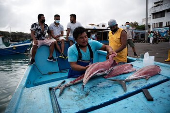 A fisherman cleans freshly caught