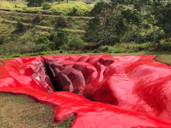 Olavo de Carvalho, criticó la