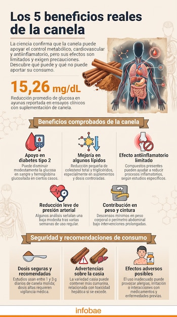 Infografía: cinco beneficios de la canela para la salud, con ilustraciones de cuerpo humano, moléculas, ramas de canela, polvo y detalles sobre dosis y efectos.