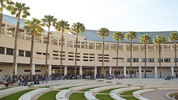 Investigadores descubren una "respuesta magnética