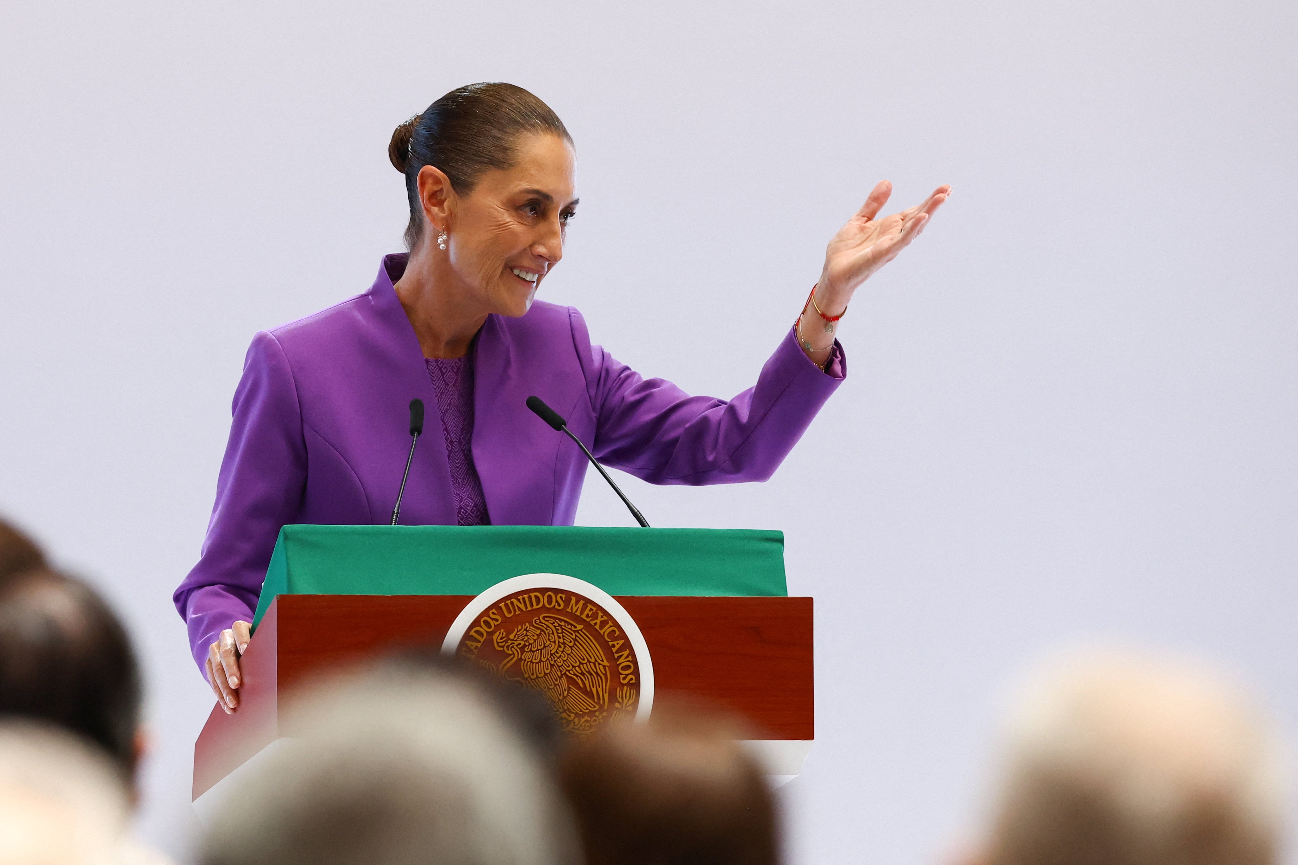 Thelma Islas Lagunas habría diseñado la prenda de la presidenta
REUTERS/Daniel Becerril