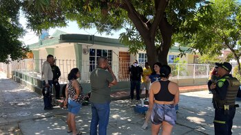 Están matando gatos con cianuro