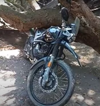 Les cayó un gigantesco árbol encima: tres motocicletas quedaron destruidas y una línea eléctrica colapsó - crédito Captura de pantalla Enlace Televisión