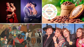 Agenda cultural en Lima del 16 al 22 de julio: ballet con ‘Carmen y Raymonda’, el teatro musical de Marco Zunino, filmotecas y más