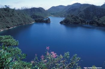 Vasto lago azul oscuro rodeado de montañas verdes frondosas. Pequeñas islas emergen del agua y hay follaje con flores púrpuras en el primer plano