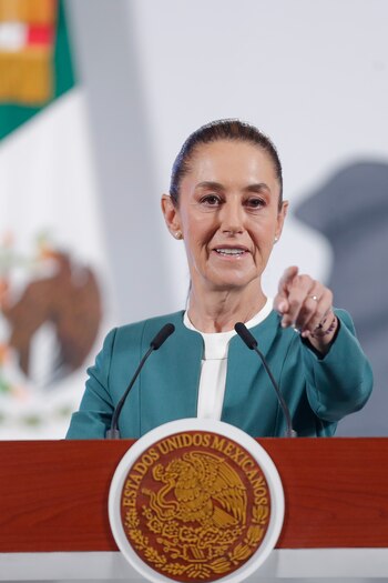 Reforma legislativa propone usar el