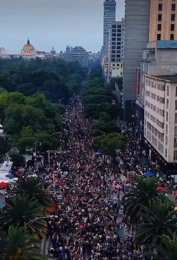 Wilkins compartió imágenes de cómo