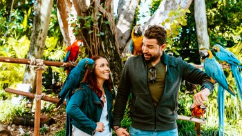 Un enorme parque acuático inflable abrirá sus puertas en Miami este verano