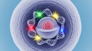 Expertos de Harvard crean un método para identificar mutaciones genéticas que causan cáncer