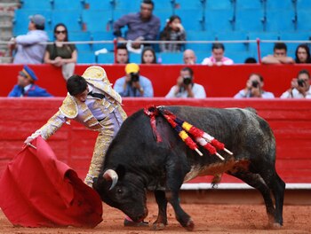 Fotografía de archivo del novillero