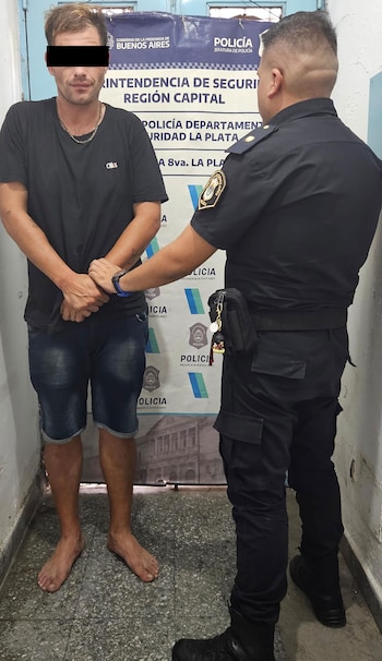 El ladrón tras ser detenido