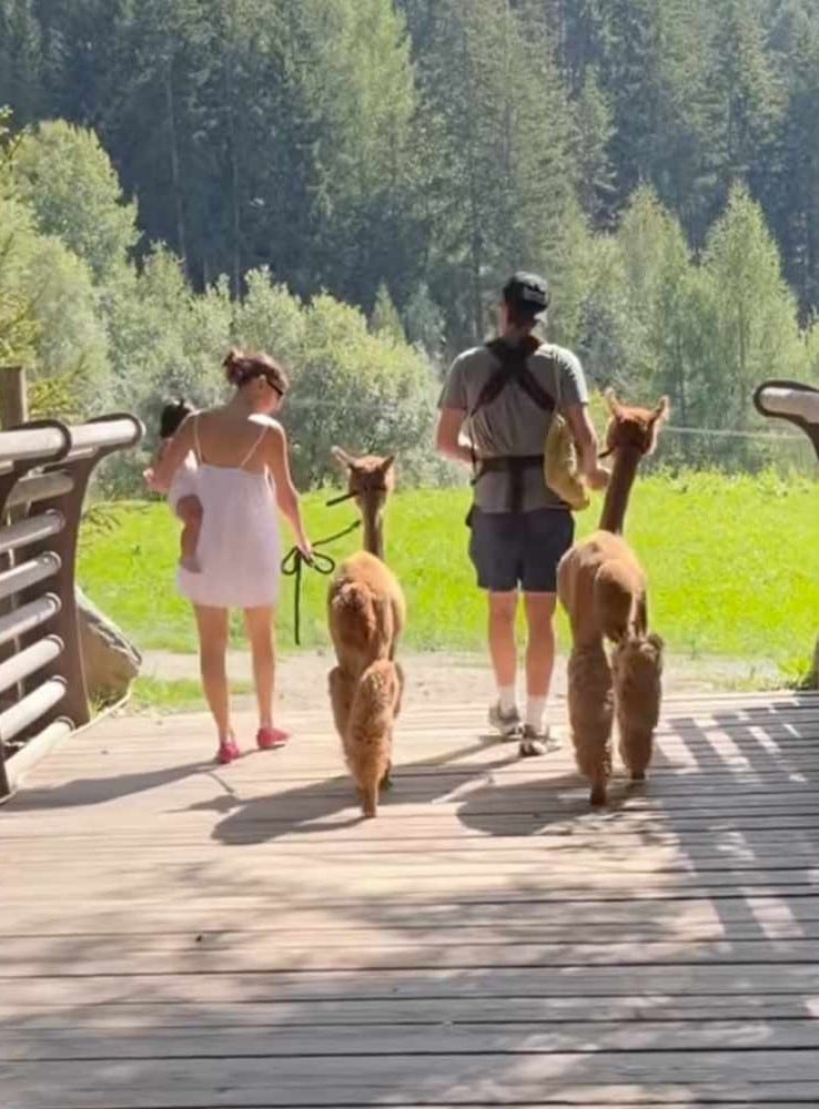 Un video de su viaje por Europa había dado pistas sobre la llegada de un segundo bebé a la familia (Captura: Instagram)