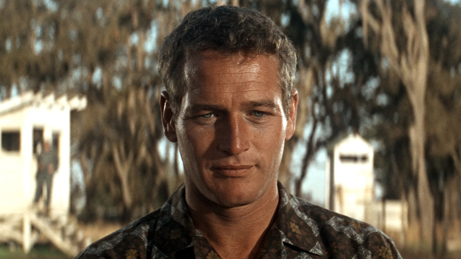 Paul Newman viajó a la Argentina en 1962 para presentar El buscavidas en el Festival Internacional de Cine de Mar del Plata