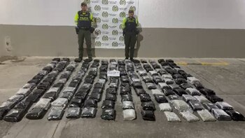 Descubren 172.000 gramos de marihuana