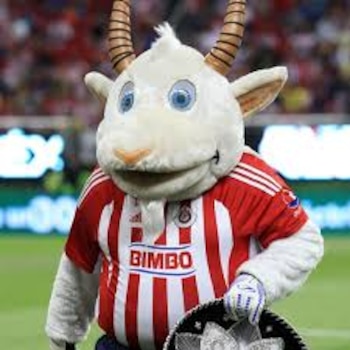 La Chiva Loca, creada en