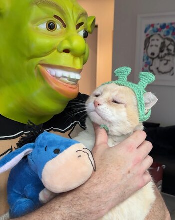 Se desconoce el motivo por