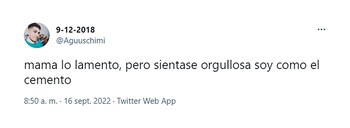 El tuit del acusado del